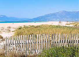 Apartamentos en primera linea de la playa los lances