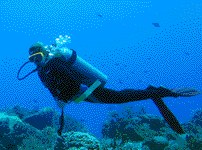 Submarinismo en Tarifa